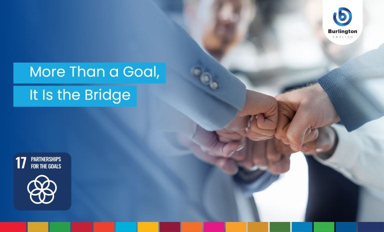 Goal 17 More Than a Goal, It Is the Bridge